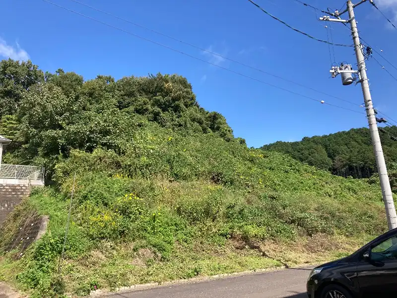 山林西側境界