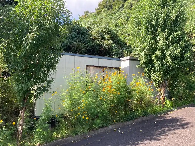 山林内の小屋