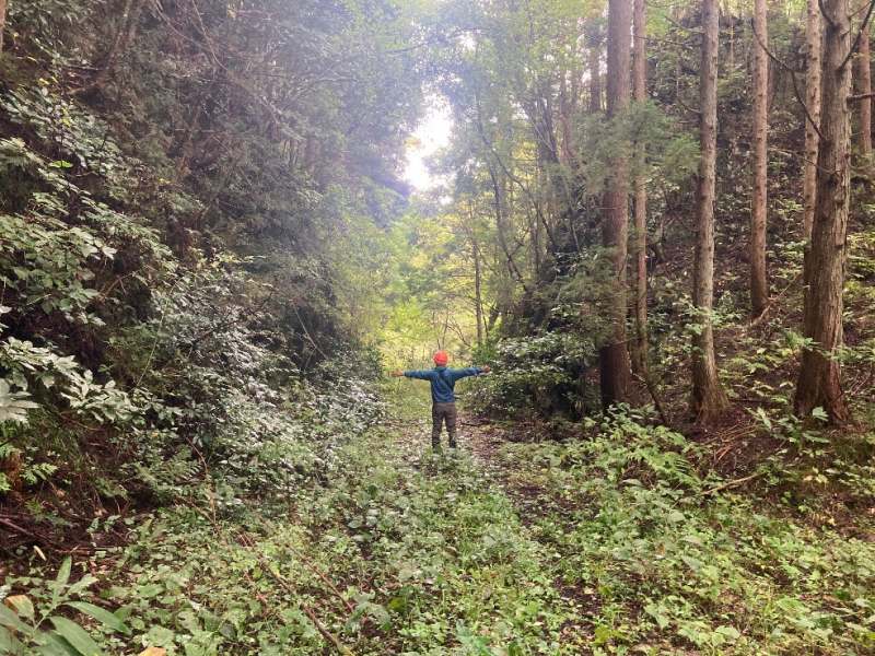 山林南側林道