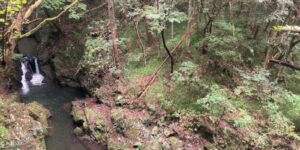 山林物件　福島県いわき市遠野町