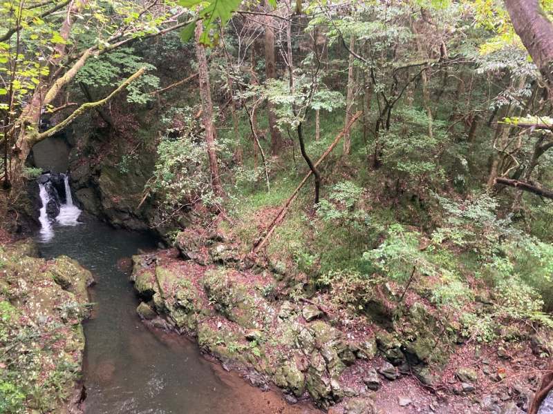 山林物件　福島県いわき市遠野町