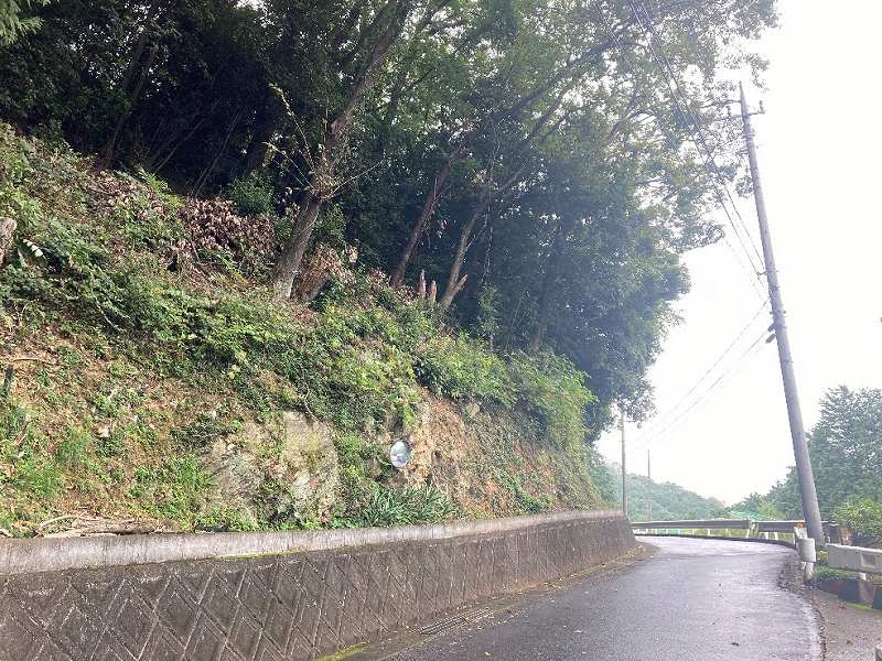 西側道路からの様子