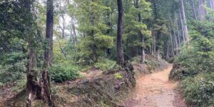 山林物件　埼玉県日高市高麗本郷