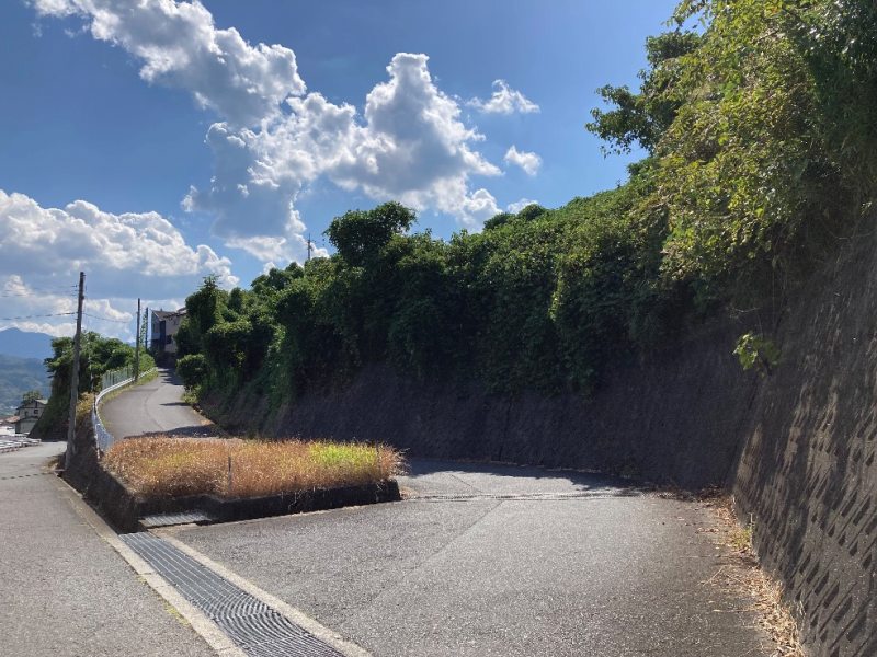 山林東側・前面道路
