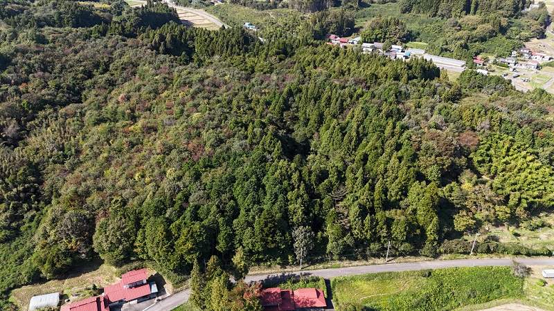 【東部分】対象地遠景