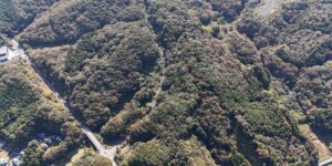 山林物件　栃木県那須烏山市大金