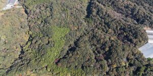 山林物件　栃木県那須烏山市高瀬