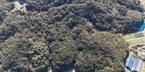 山林物件　栃木県那須烏山市田野倉