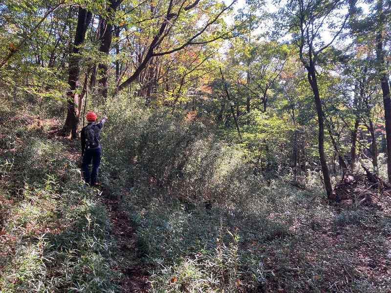 北西側境界付近の谷