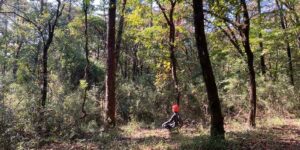 山林物件　群馬県前橋市富士見町