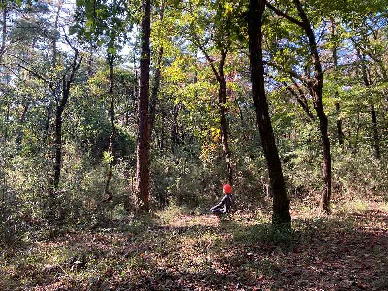 山林物件 群馬県前橋市富士見町