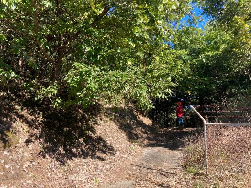 山林西側境界付近