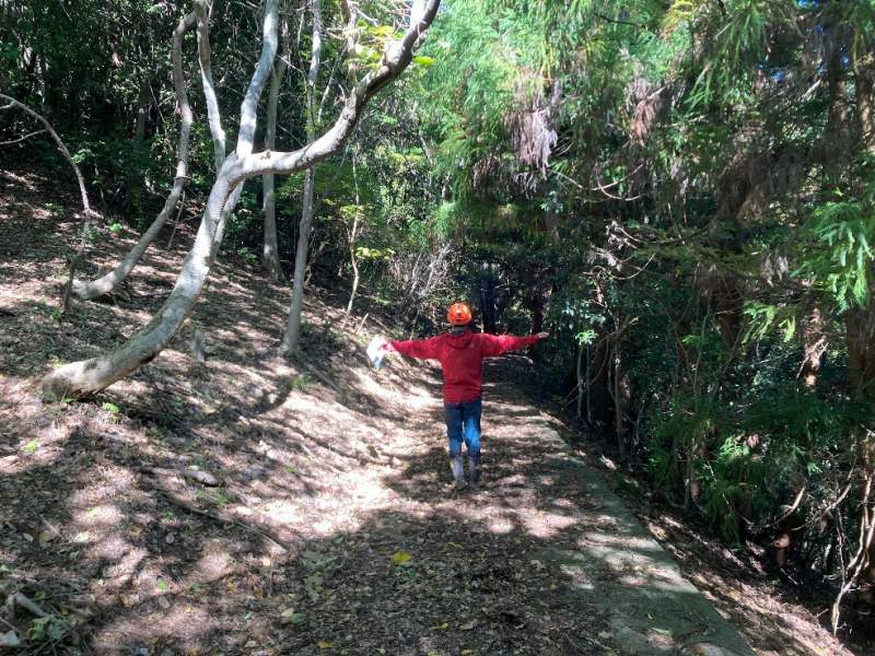 山林対象地内を通る道
