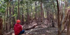 山林物件　静岡県浜松市浜名区都田町