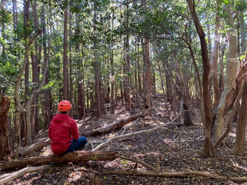 山林物件 静岡県浜松市浜名区都田町