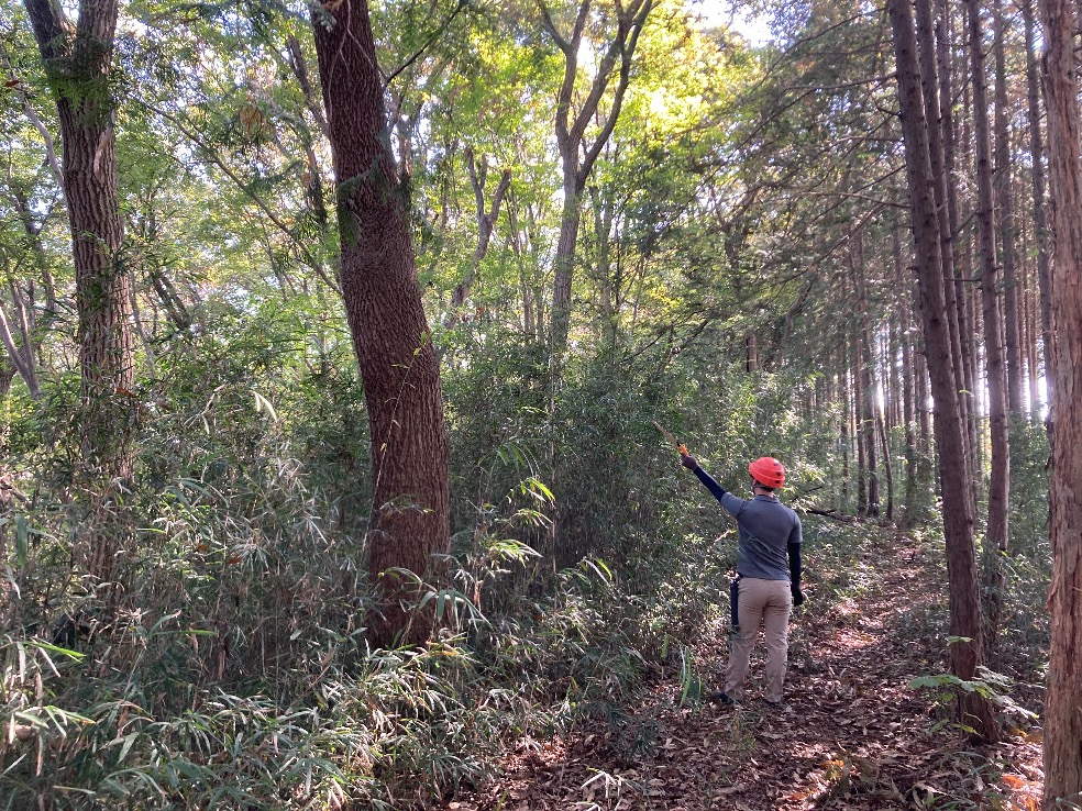 南西側境界付近