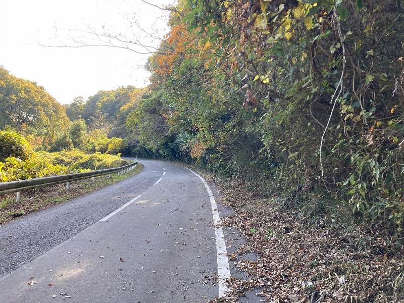 対象地中央を通る接道※道の両側対象