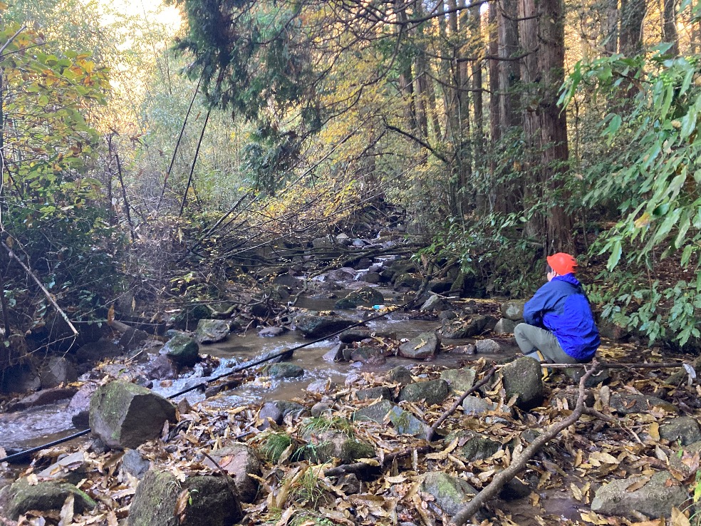 前面の川（対象右）