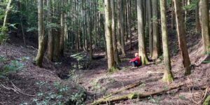 山林物件　福岡県京都郡みやこ町