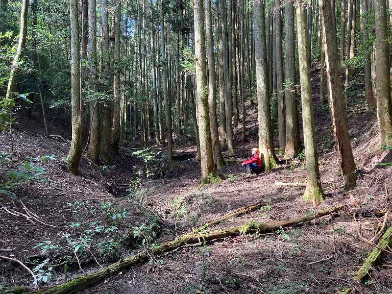山林物件 福岡県京都郡みやこ町