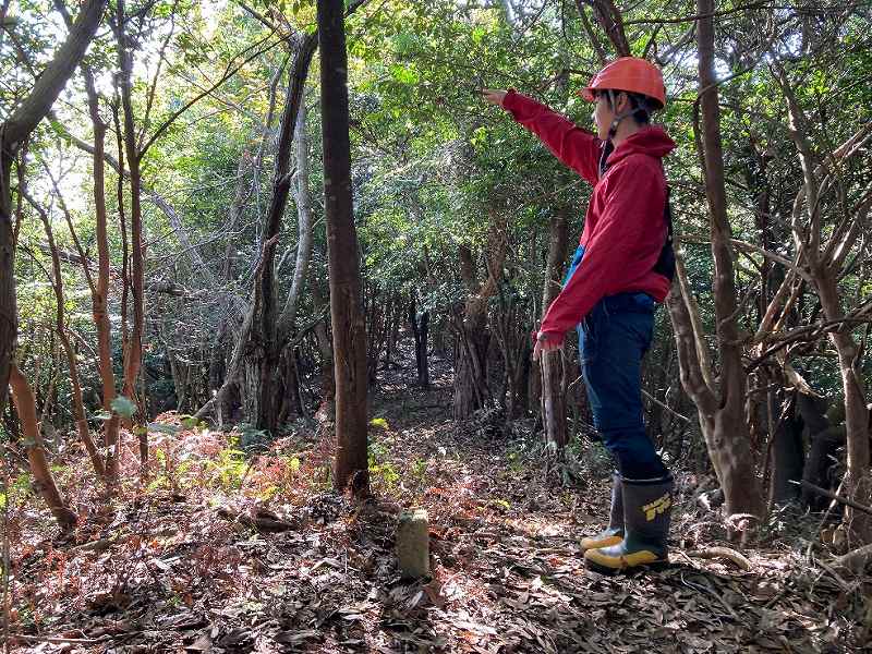 境界付近の様子