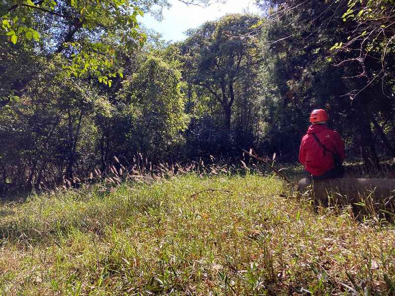 緩斜面地の様子②