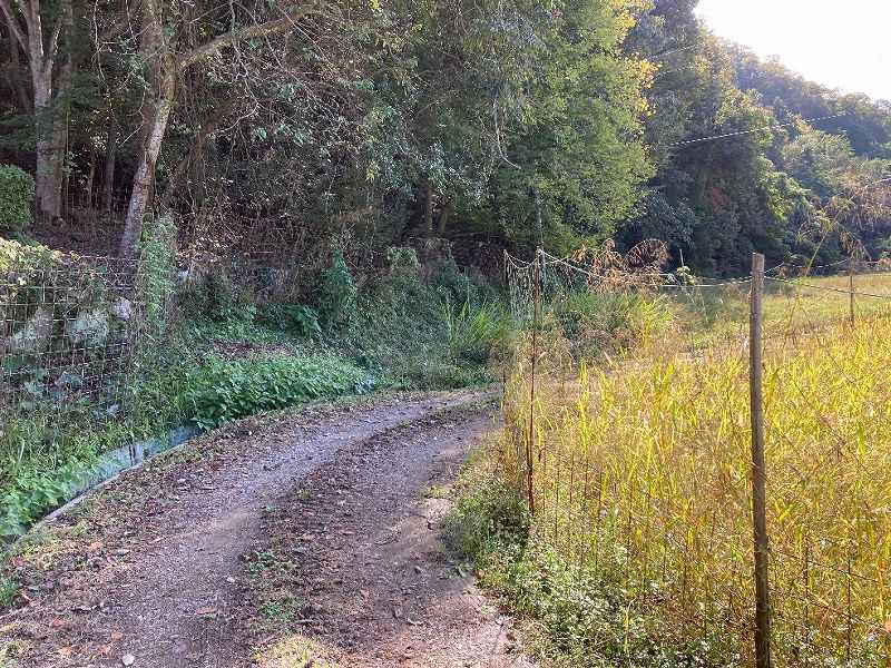 前面農道の様子