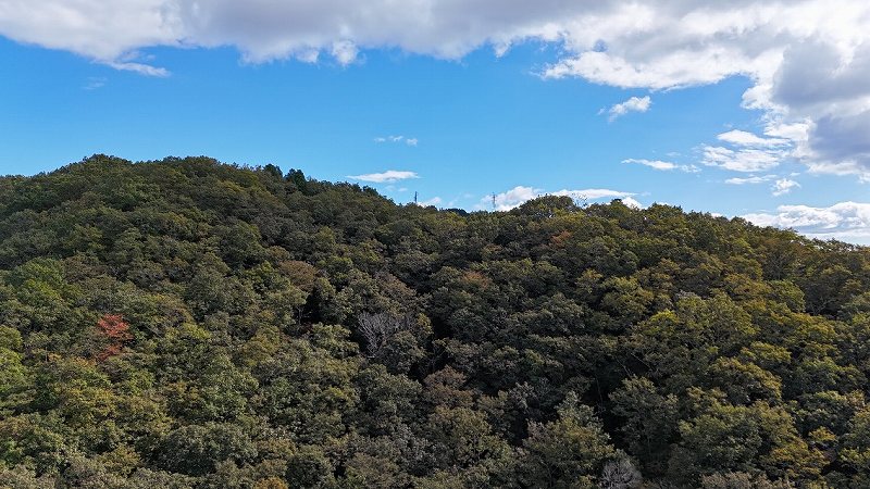 頂上付近の様子