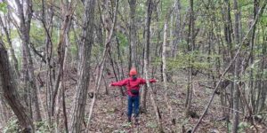 山林物件　岩手県奥州市江刺