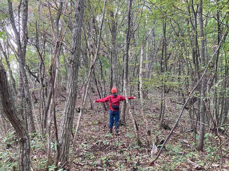 山林物件 岩手県奥州市江刺