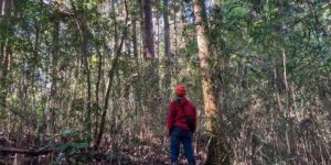 山林物件　宮城県栗原市一迫柳目②