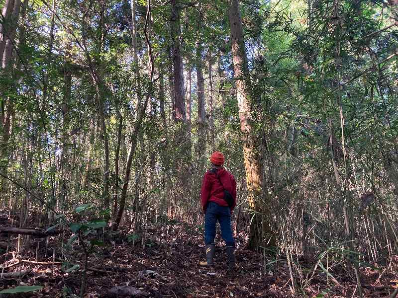 山林物件　宮城県栗原市一迫柳目②