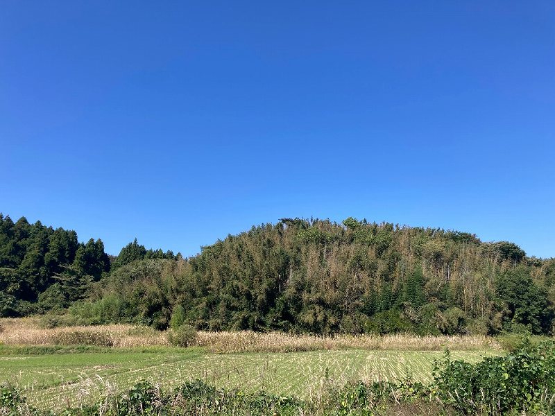 【西部分】対象地の様子