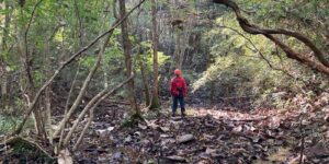 山林物件　304宮城県栗原市一迫柳目①