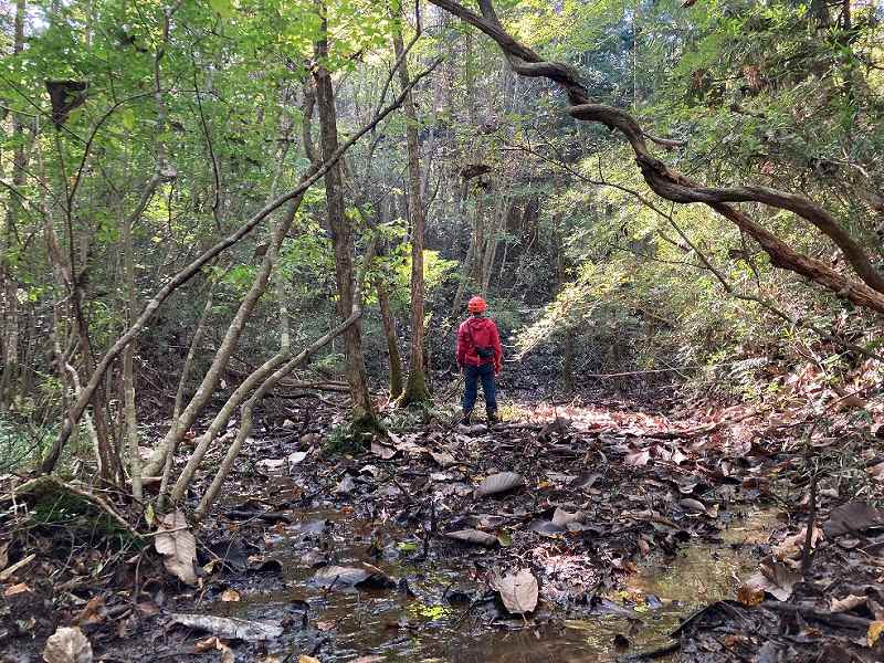 山林物件　304宮城県栗原市一迫柳目①