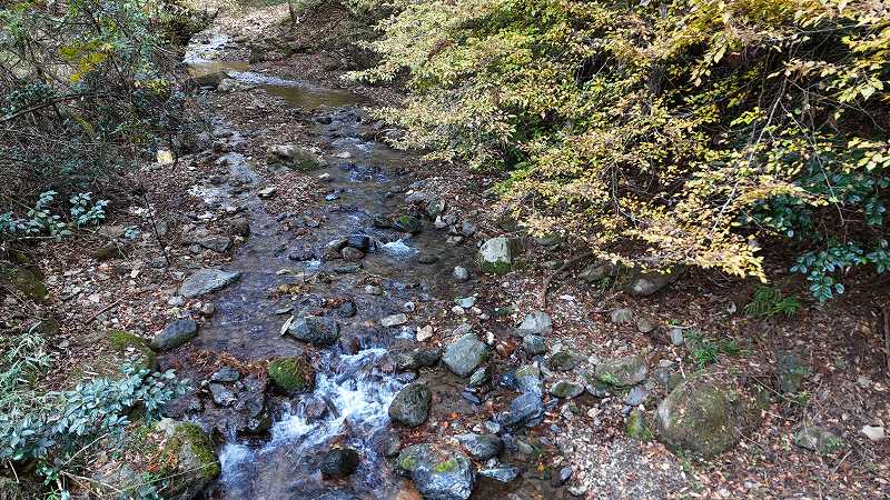 前面の川※対象右側