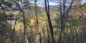 群馬県みどり市大間々町