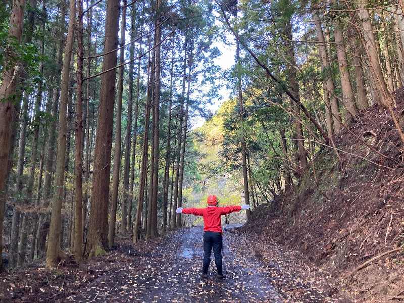 対象地内の林道