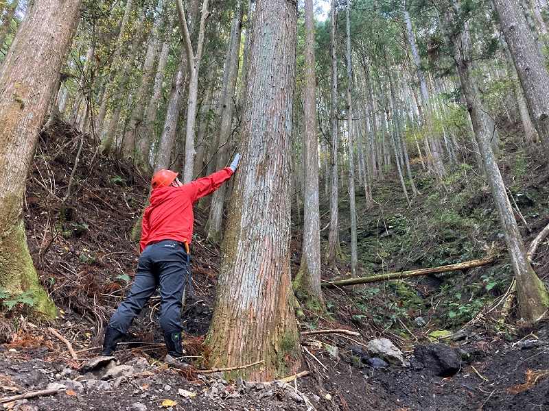 山林物件　静岡県周智郡森町