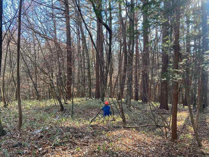 北部分の平坦地