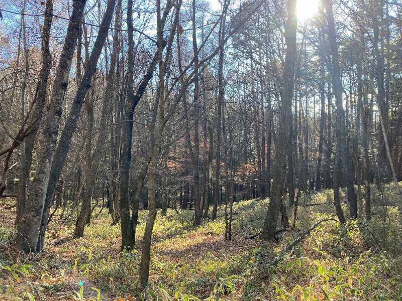 山林物件 長野県諏訪郡富士見町