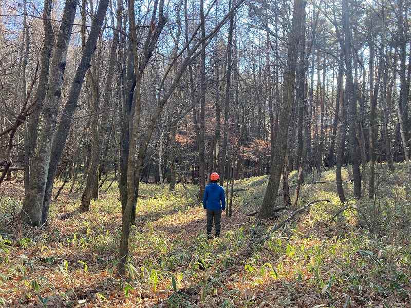 南部分の平坦地