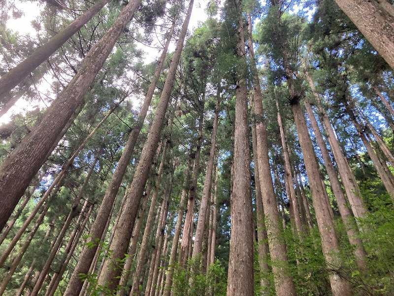 山林物件 高知県高岡郡檮原町
