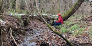 山林物件　岩手県紫波郡紫波町