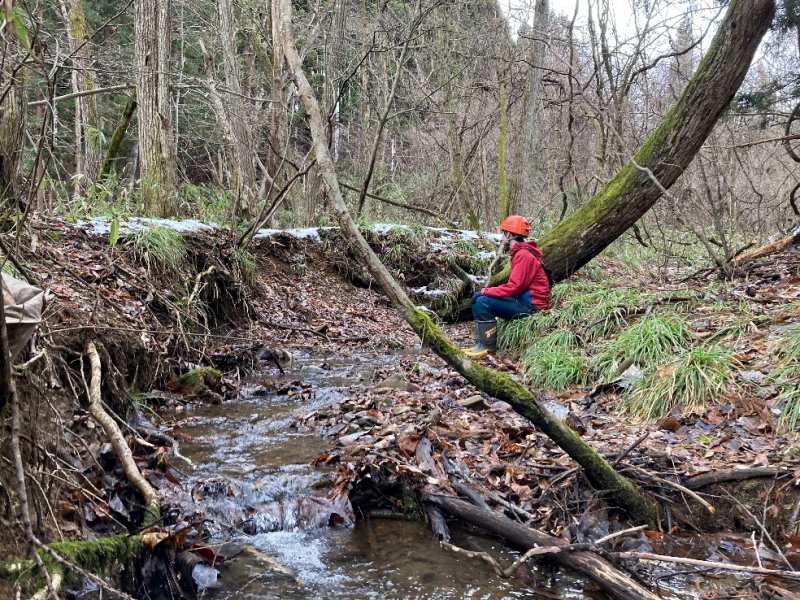 山林物件 岩手県紫波郡紫波町