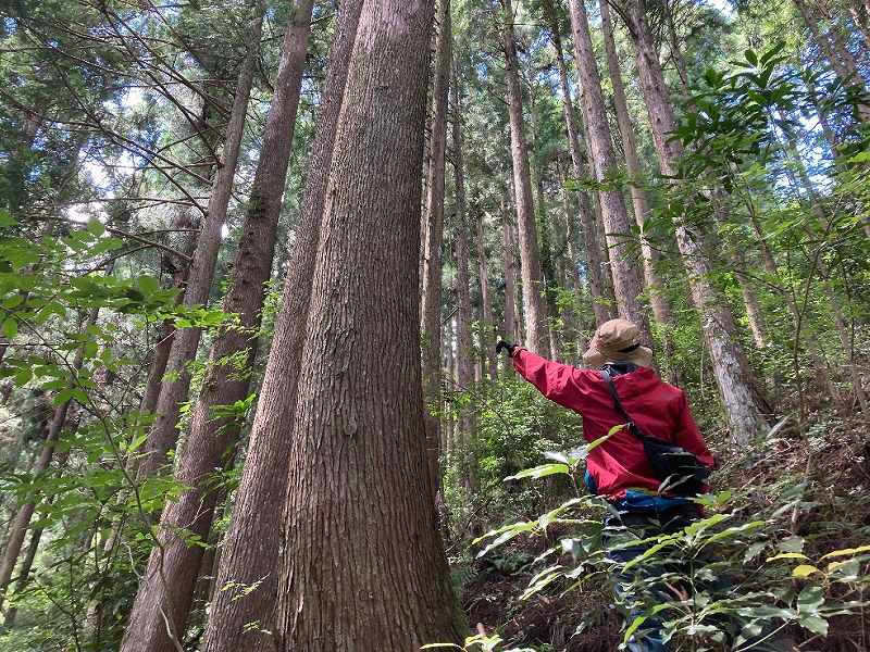 境界付近の様子