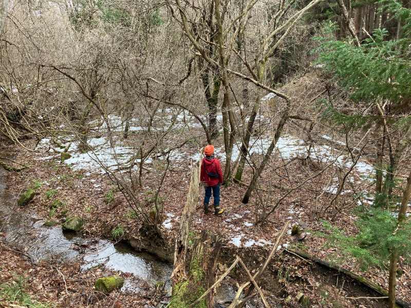 山林内平坦地・東部分