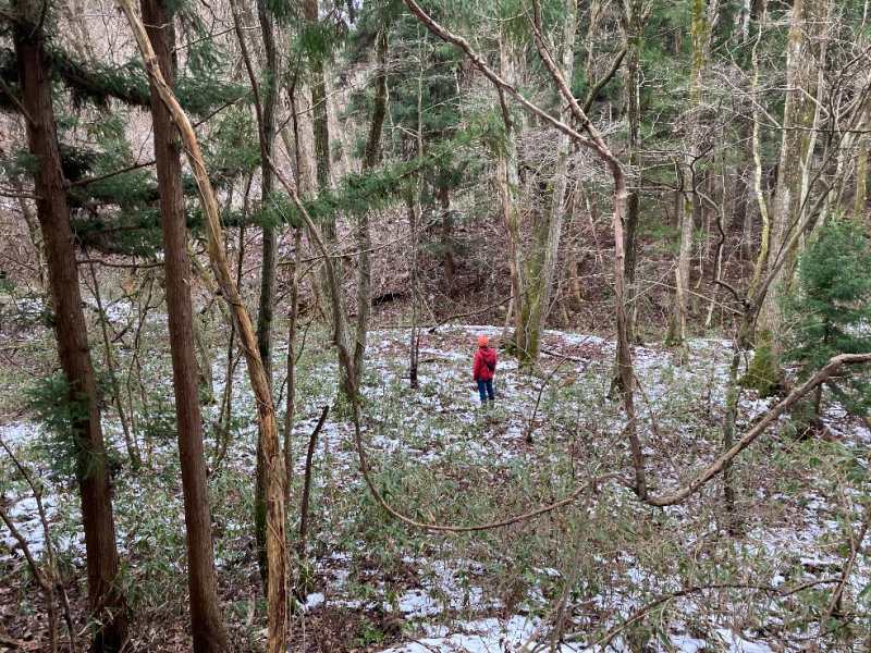 山林内平坦地・西部分