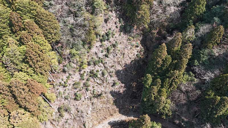 麓・未立木地