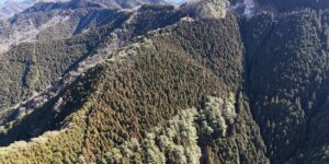 和歌山県かつらぎ町大字花園久木②